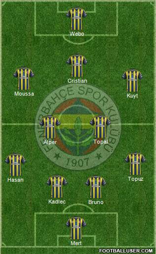 Fenerbahçe SK Formation 2013