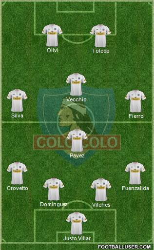 CSD Colo Colo Formation 2013