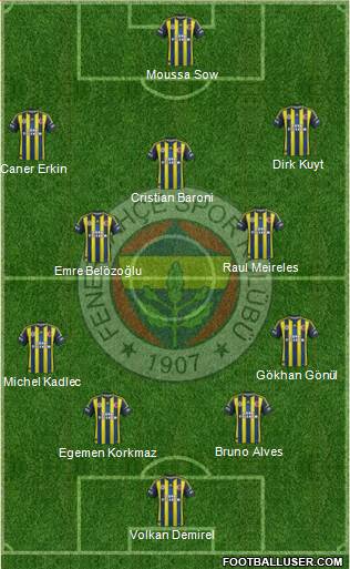 Fenerbahçe SK Formation 2013