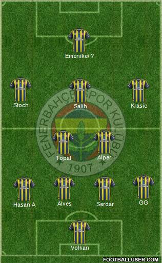 Fenerbahçe SK Formation 2013