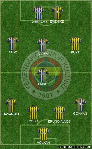 Fenerbahçe SK Formation 2013