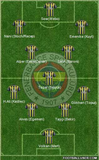 Fenerbahçe SK Formation 2013