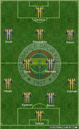 Fenerbahçe SK Formation 2013