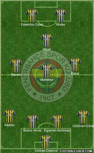 Fenerbahçe SK Formation 2013