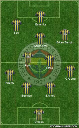 Fenerbahçe SK Formation 2013
