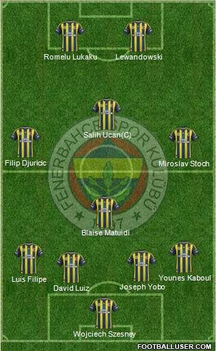 Fenerbahçe SK Formation 2013
