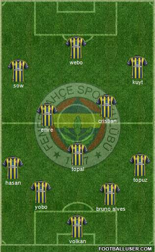 Fenerbahçe SK Formation 2013