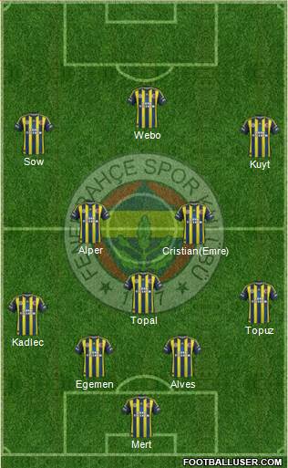 Fenerbahçe SK Formation 2013