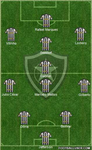 Botafogo FR Formation 2013