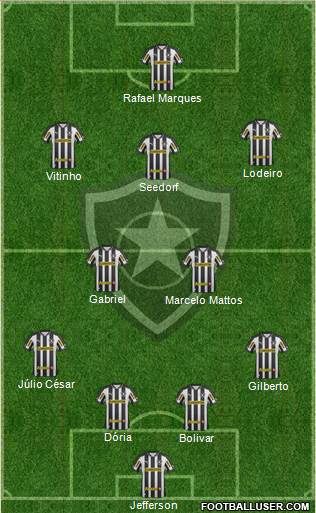 Botafogo FR Formation 2013