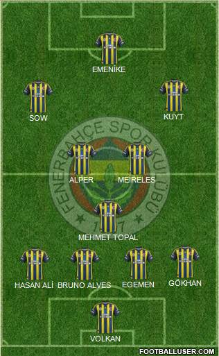 Fenerbahçe SK Formation 2013