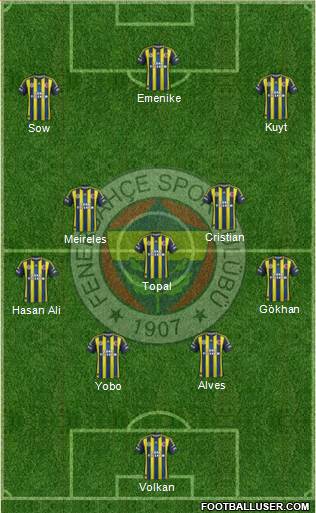 Fenerbahçe SK Formation 2013