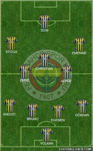 Fenerbahçe SK Formation 2013