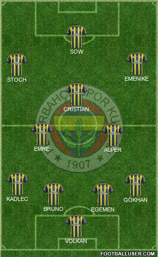 Fenerbahçe SK Formation 2013