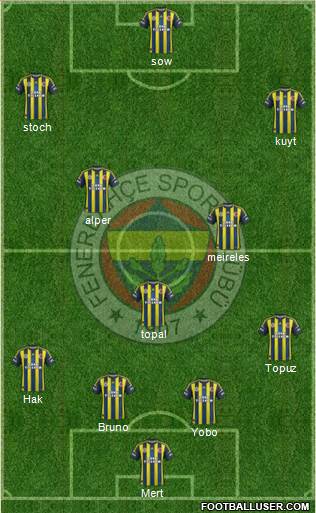 Fenerbahçe SK Formation 2013