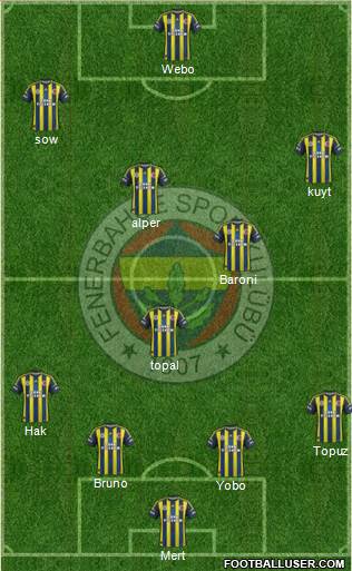 Fenerbahçe SK Formation 2013