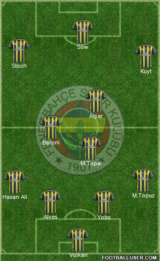 Fenerbahçe SK Formation 2013
