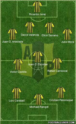 Alianza Petrolera AS Formation 2013