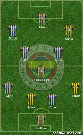 Fenerbahçe SK Formation 2013