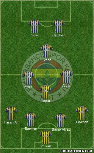 Fenerbahçe SK Formation 2013