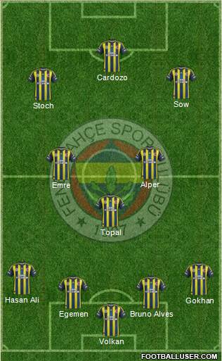 Fenerbahçe SK Formation 2013