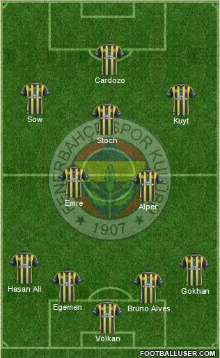 Fenerbahçe SK Formation 2013