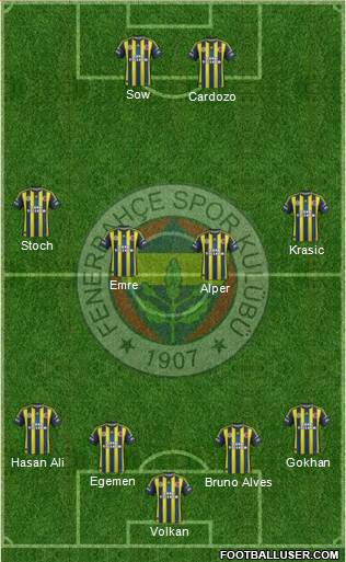 Fenerbahçe SK Formation 2013