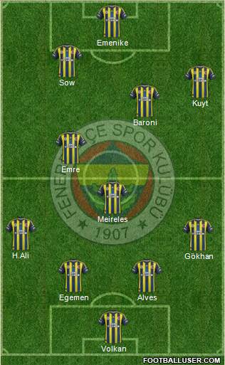 Fenerbahçe SK Formation 2013