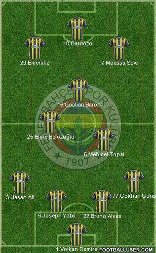 Fenerbahçe SK Formation 2013