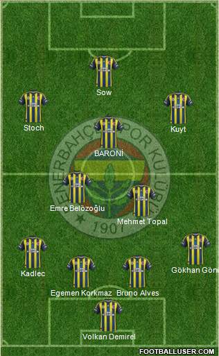Fenerbahçe SK Formation 2013