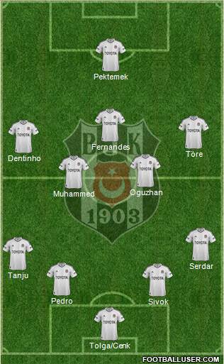 Besiktas JK Formation 2013