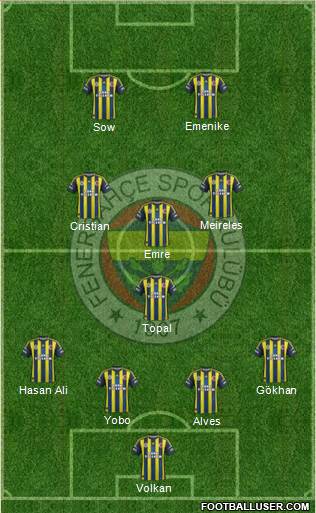 Fenerbahçe SK Formation 2013