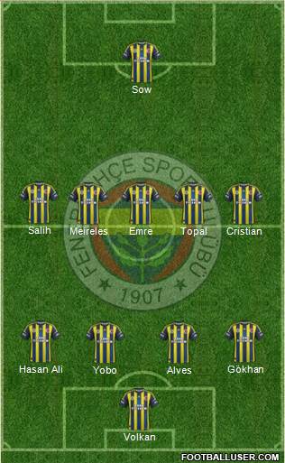 Fenerbahçe SK Formation 2013