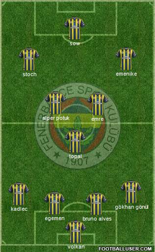 Fenerbahçe SK Formation 2013
