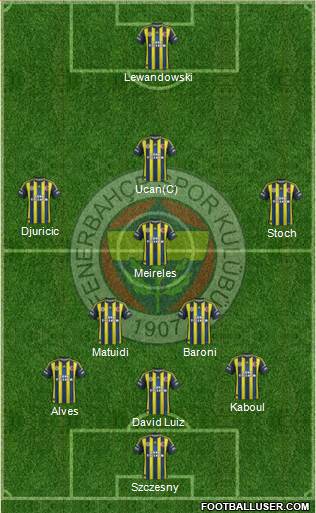 Fenerbahçe SK Formation 2013