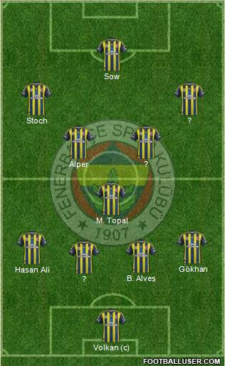 Fenerbahçe SK Formation 2013