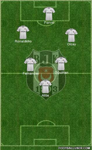 Besiktas JK Formation 2013