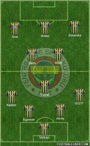 Fenerbahçe SK Formation 2013