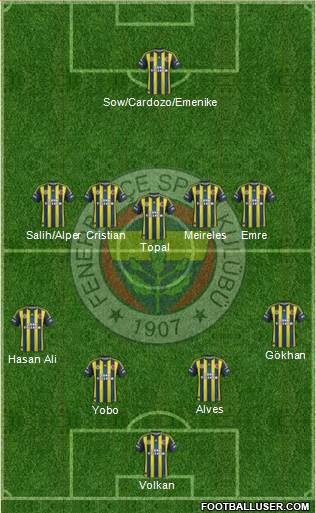 Fenerbahçe SK Formation 2013
