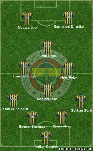 Fenerbahçe SK Formation 2013