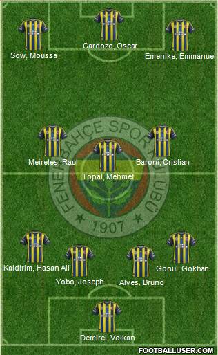 Fenerbahçe SK Formation 2013