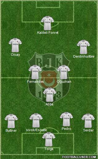 Besiktas JK Formation 2013