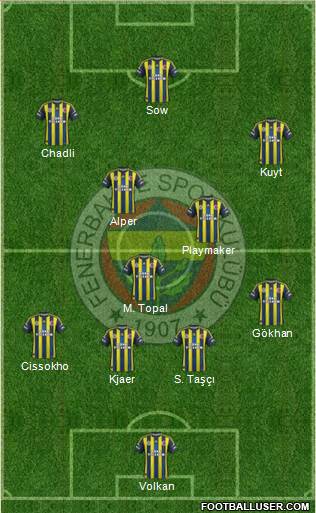 Fenerbahçe SK Formation 2013