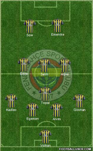 Fenerbahçe SK Formation 2013