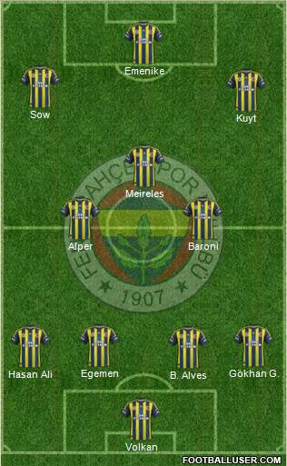 Fenerbahçe SK Formation 2013