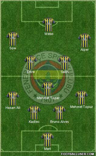 Fenerbahçe SK Formation 2013