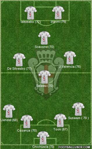 Pro Vercelli Formation 2013