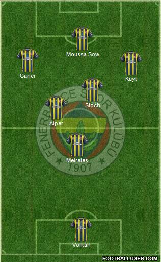 Fenerbahçe SK Formation 2013