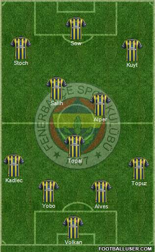Fenerbahçe SK Formation 2013