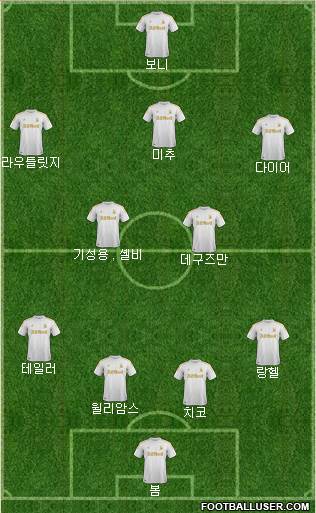 Swansea City Formation 2013